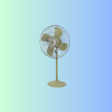 Pakistani Fan
