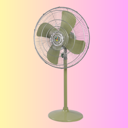 Pakistani Fan