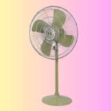 Pakistani Fan