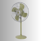 Pakistani Fan