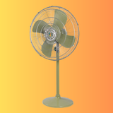 Pakistani Fan