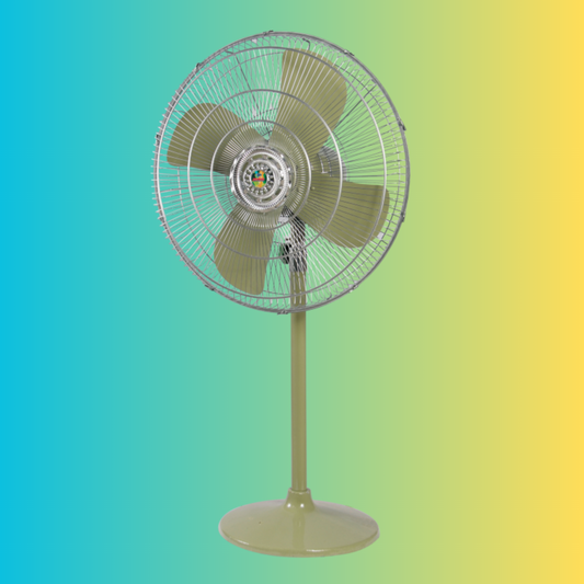Pakistani Fan